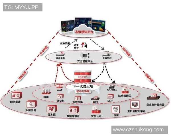 北京网球队防守体系解析与战术应用探讨